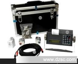 便携式超声波流量计TDS-100P在仪器仪表加工中的应用